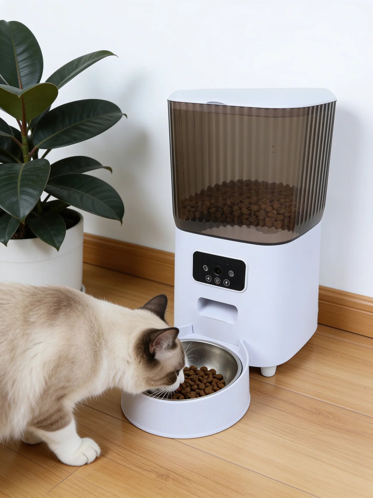 Felvox | Smart Automatic Cat Feeder