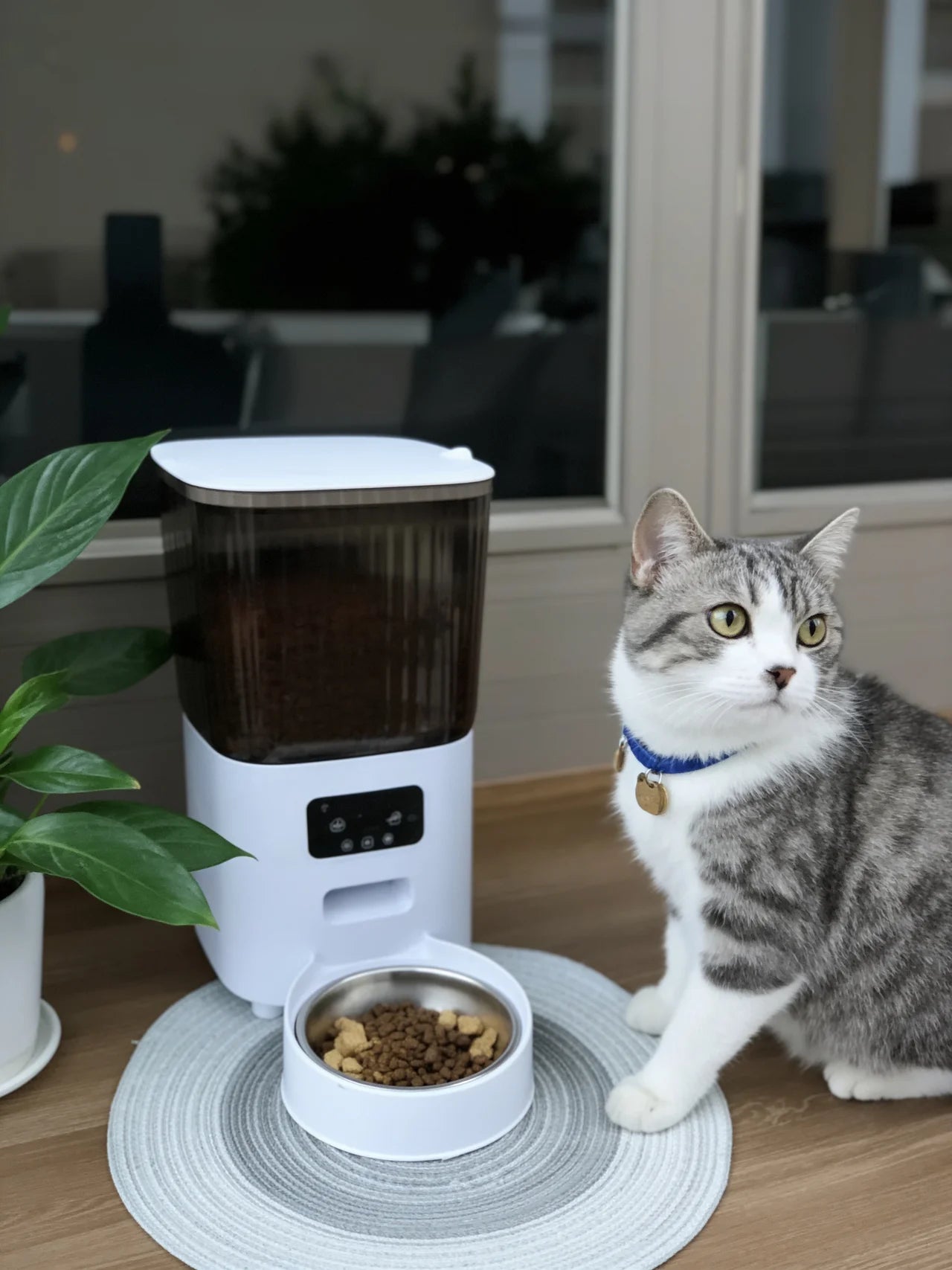 Felvox | Smart Automatic Cat Feeder